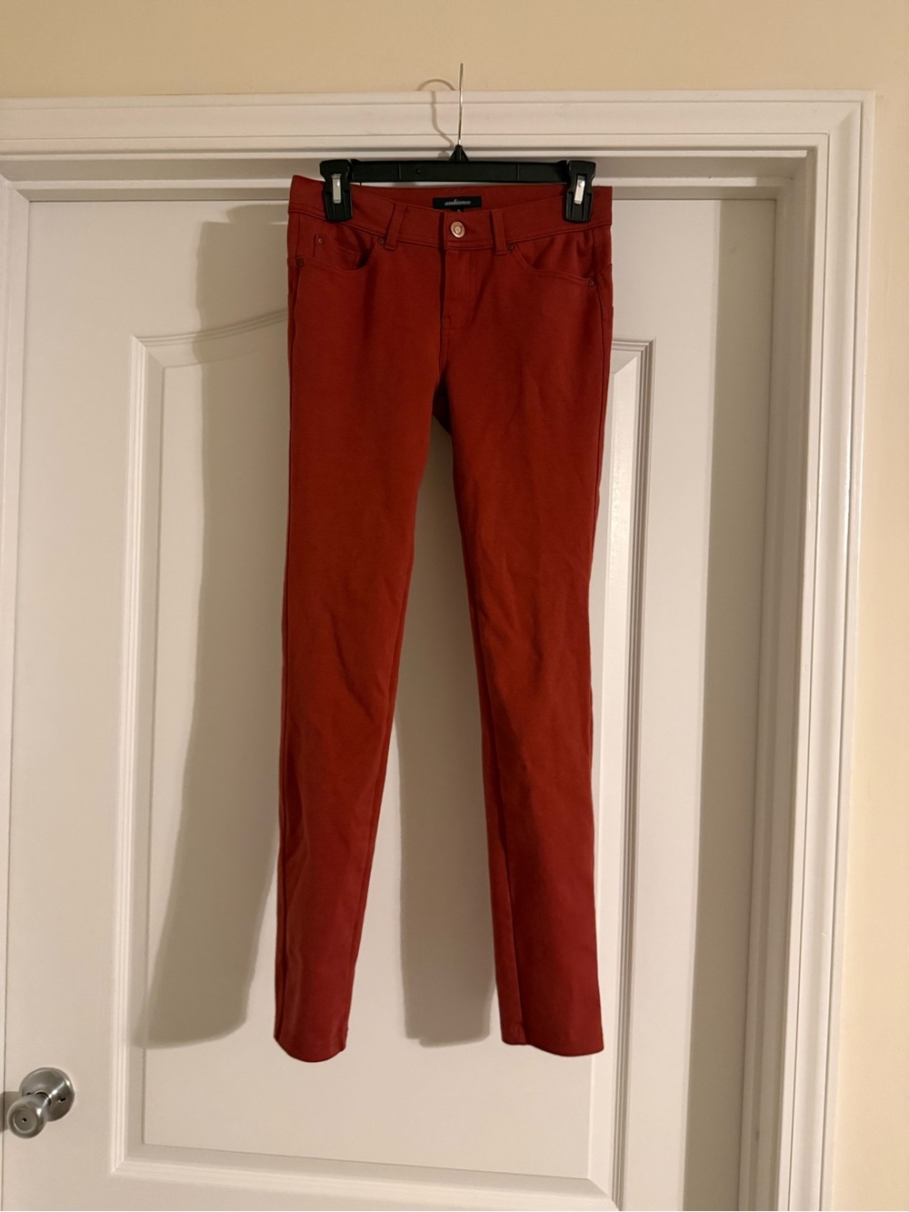 Ambiance Skinny Pants in Rust